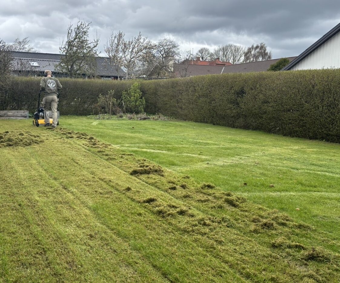 Mosfjerning/Plæneluftning
